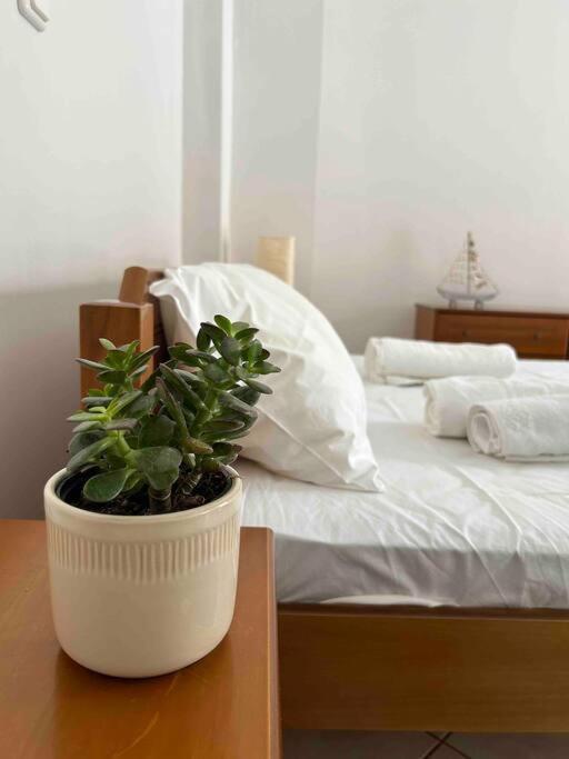 Cozy Studio In Skala, Agistri Διαμέρισμα Εξωτερικό φωτογραφία