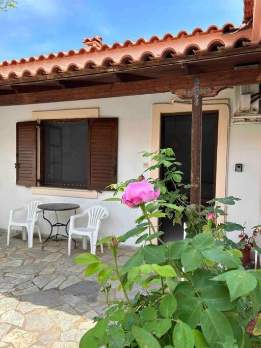 Cozy Studio In Skala, Agistri Διαμέρισμα Εξωτερικό φωτογραφία