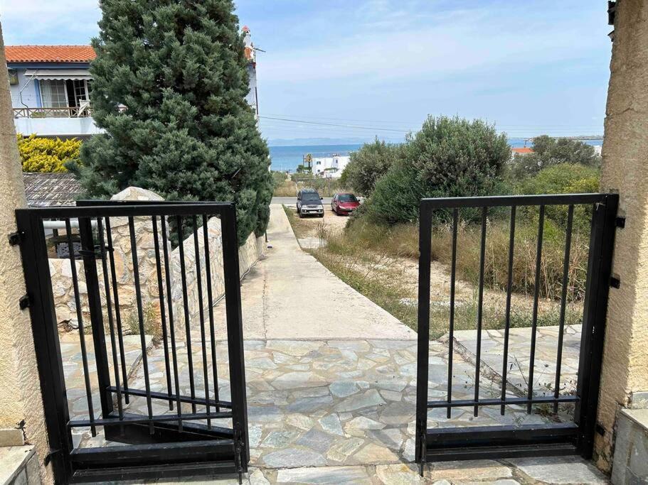 Cozy Studio In Skala, Agistri Διαμέρισμα Εξωτερικό φωτογραφία